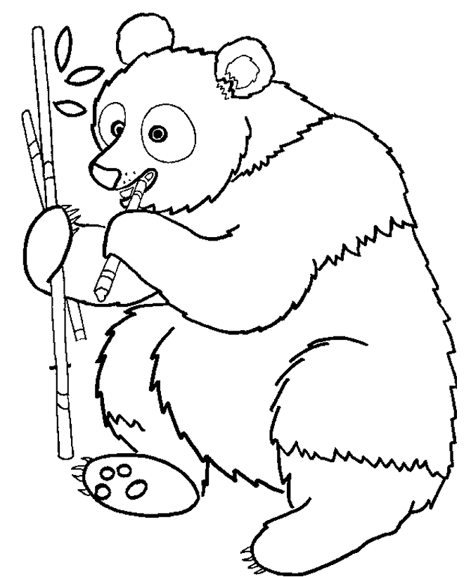 Plansa de colorat cu Panda 27 20